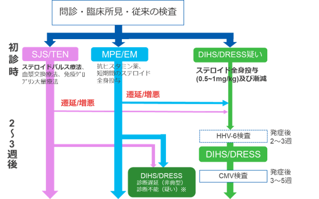 ラモトリギンと薬疹 ―不適正使用に関する注意喚起?